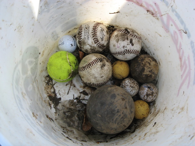 What treasures will you uncover?  Yes, that's a total of 14 balls found in the creek last weekend.