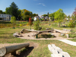 {{brizy_dc_image_alt entityId=